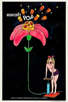 蒙特雷流行音乐节 (1968)丨9.0分丨高分音乐纪录片推荐 英语中字-58创客