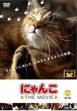 《猫咪物语》高分治愈纪录片推荐 全5部丨9.0分-58创客