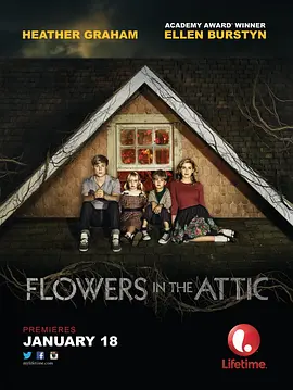 阁楼里的花 (2014)丨6.6分丨冷门悬疑惊悚电影推荐 2014版-58创客