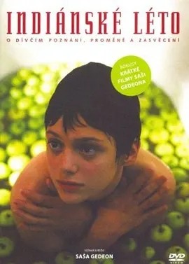 捷影丨印第安夏日 (1995)丨7.8分丨高分爱情电影推荐 捷克语中字-58创客