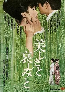 美丽与哀伤 (1965)丨7.1分丨筱田正浩/渡边美佐子作品 改编自川端康成原著 日语中字-58创客