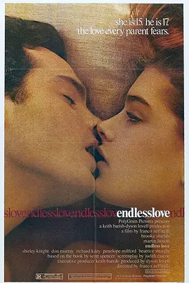 无尽的爱 Endless Love (1981)丨6.6分丨波姬·小丝主演电影 英语中字-58创客