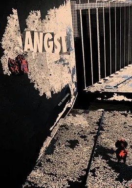 奥影丨焦虑 (1983)丨7.9分丨高分惊悚电影推荐 德语中字-58创客