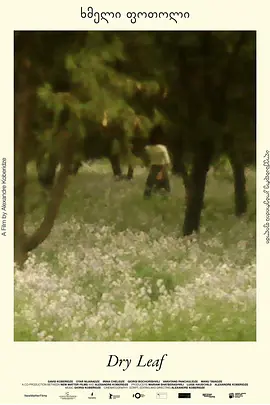 落叶球 (2025)丨7.3分丨洛迦诺国际电影节 金豹奖 最佳影片(提名)-58创客