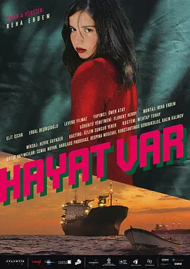 我唯一的阳光 Hayat var (2008)丨7.3分-58创客