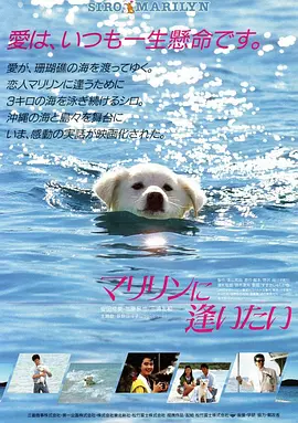 想见玛丽琳 (1988)丨加藤昌也主演电影 日语中字-58创客