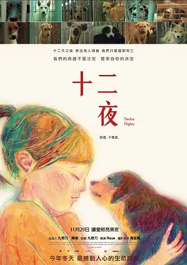 十二夜 (2013)丨8.5分丨冷门高分纪录片推荐 国语中字-58创客