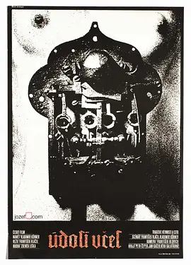 蜂之山谷 (1968) 丨彼得·采佩克 / 扬·卡切尔主演丨剧情 / 历史丨豆瓣8.1分-58创客