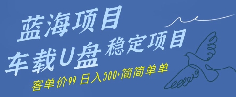 蓝海项目车载U盘稳定项目,挣的就是信息差,客单价99,日入几张简简单单-申水仓