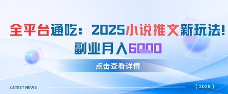 全平台通吃：2025小说推文新玩法，副业月入6k-申水仓