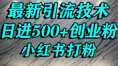 小红书精准引流创业粉,前辈求带孩子走投无路了,单人操作日引500+精准创业粉-申水仓