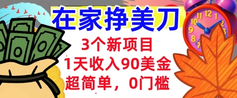 3个新项目,1天收入90美刀,超简单,0门槛,在家挣美刀的首选-申水仓