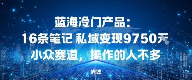 蓝海冷门产品：16条笔记私域变现9750米，小众赛道，操作的人不多-申水仓