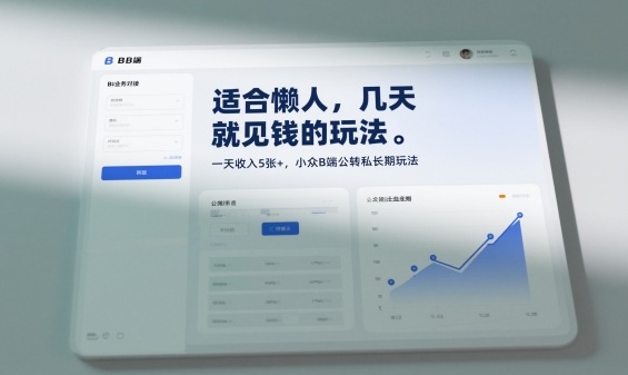 适合懒人,几天就见钱的玩法,一天收入5张+,小众B端公转私长期玩法-申水仓