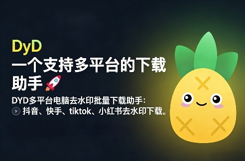 DYD多平台电脑去水印批量下载助手：抖音、快手、tiktok、小红书去水印下载-58创客