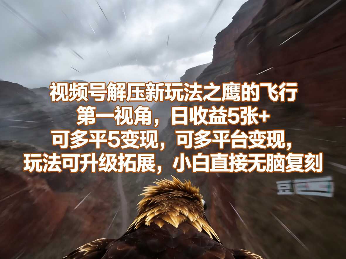 视频号解压新玩法之鹰的飞行第一视角，日收益5张+，可多平台变现，玩法可升级拓展，小白直接无脑复刻-58创客