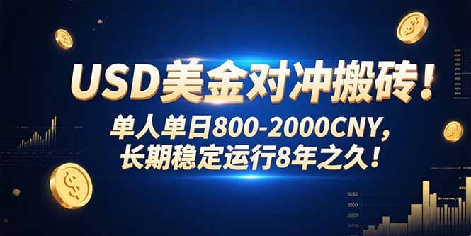 USD美金对冲搬砖!单人单日800-2000CNY，长期稳定运行8年之久!-多米联创
