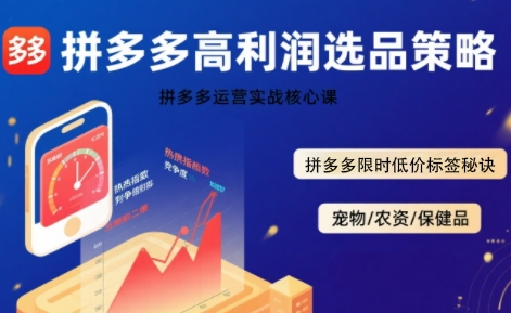 拼多多选品暴利技术实战课，拼多多高利润选品策略，拼多多限时低价标签秘诀-多米联创