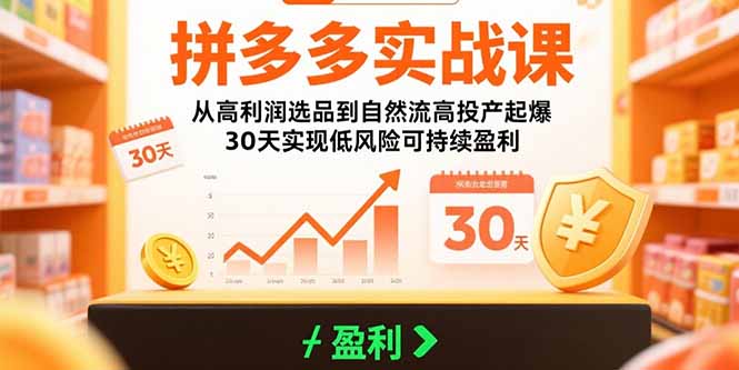 拼多多实战课：从高利润选品到自然流高投产起爆 30天实现低风险可持续盈利-58创客网