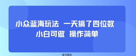 小众蓝海玩法 一天搞了四位数 小白可做 操作简单-多米联创