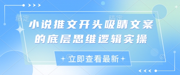 小说推文开头吸睛文案的底层思维逻辑实操-58创客网
