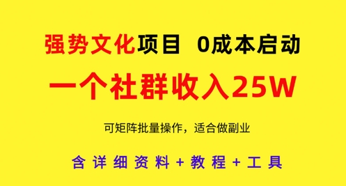 强势文化项目，一个社群收入25个W，0成本启动，可矩阵批量操作，原创详细实操教程-58创客网