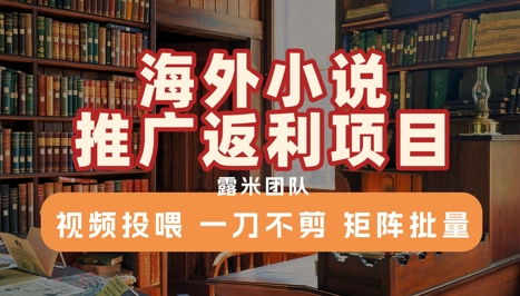 海外小说推广返利项目，视频投喂， 一刀不剪，矩阵批量-58创客网