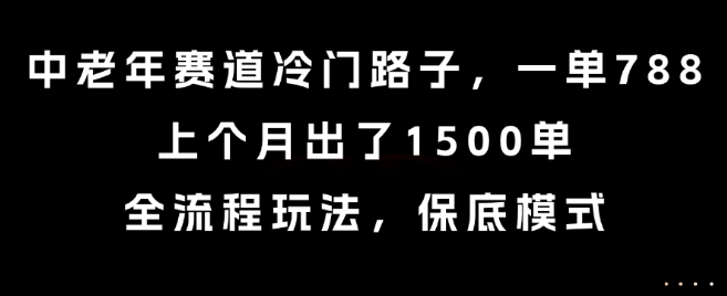 中老年赛道冷门路子，一单788，上个月出了1500单，全流程玩法，保底模式【揭秘】-多米联创