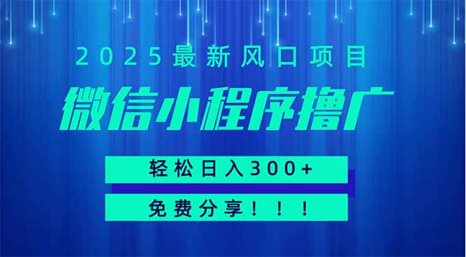 微信小程序撸广，最新风口项目，日入300+ 免费分享 可批量操作 小白可…-多米联创