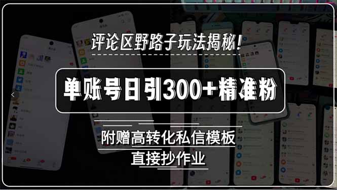 评论区野路子玩法揭秘！单账号日引300+精准粉，附赠高转化私信模板，直…-58创客网