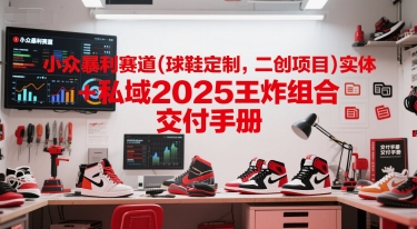小众暴利赛道(球鞋定制，二创项目)实体+私域2025王炸组合  交付手册-58创客网