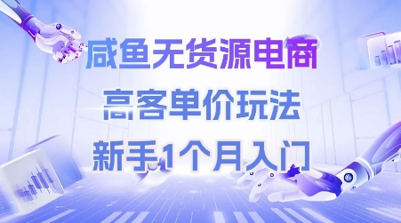 咸鱼无货源电商，高客单价玩法，新手1个月入门-58创客网