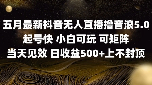 2025五月最新无人直播撸音浪单日产出5张+实操教程【揭秘】-多米联创
