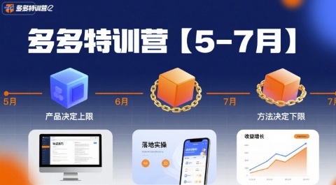 多多特训营【5-7月】产品决定上限，方法决定下限，各种玩法技巧落地实操-多米联创