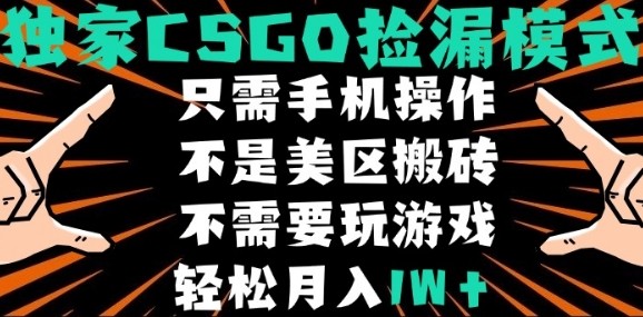 CSGO自动捡漏项目，最新独家玩法，不是美区搬砖，不需要了解和玩游戏，新手小白轻松月入1W+【揭秘】-58创客网