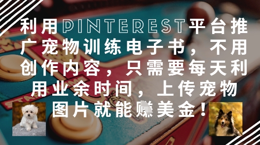 利用Pinterest平台推广宠物训练电子书，不用创作内容，只需要每天利用业余时间，上传宠物图片就能挣美金!-多米联创