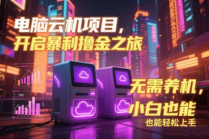电脑云机项目 暴力撸金玩法，不需要养机 配置没有要求 单机100个窗口一…-多米联创