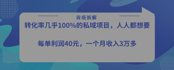转化率最高的私域项目，每单利润40-50米，月入过1w-多米联创