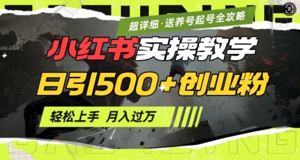 2月小红书最新日引500+创业粉实操教学【超详细】小白轻松上手，月入1W+，附小红书养号起号SOP-58创客网