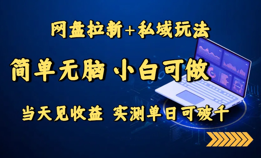 网盘拉新+私域玩法，简单无脑，小白可做，当天见收益，实测单日可破千-多米联创