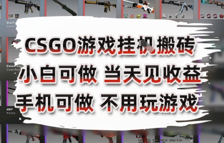 CSGO游戏挂G搬砖，小白纯手机即可操作，不用电脑打游戏，日入3张+，副业网创项目【揭秘】-58创客网