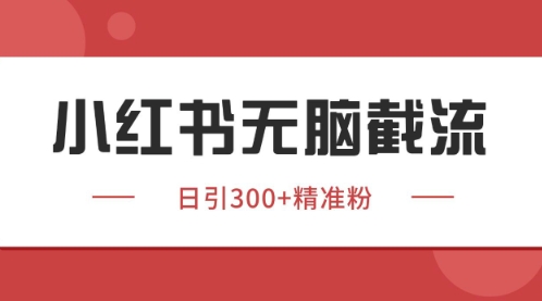 小红书只要你有同行就能获客，独家野路子获客玩法，暴力截流【揭秘】-多米联创