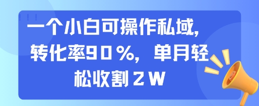 一个小白可操作私域，转化率90%，单月轻松收割2W-58创客网