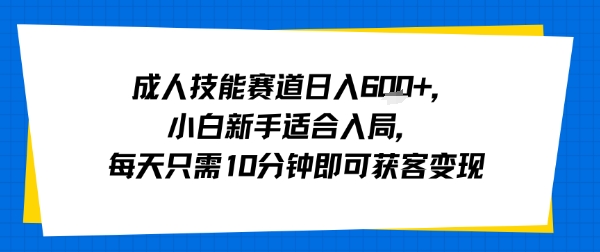 成人技能赛道日入多张，小白新手适合入局，每天只需10分钟即可获客变现-多米联创