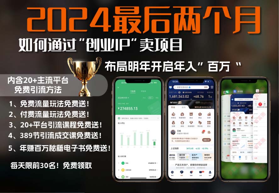 2024最后两个月如何通过”创业IP“卖项目年入”百万“,创业IP+最强引流…-58创客网