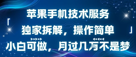 苹果手机技术服务，独家拆解，操作简单，小白可做，月过1W不是梦-58创客网