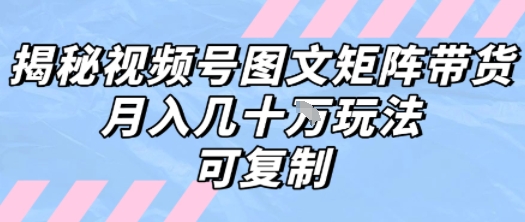 解密视频号图文矩阵带货，月入几个W的打法，可复制-多米联创