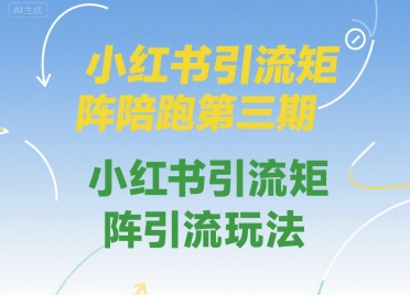 小红书引流矩阵陪跑第三期，小红书引流矩阵引流玩法-多米联创