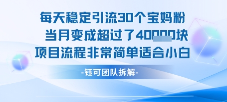 每天稳定引流30个人 当月变成超过了4个W项目流程非常简单适合小白-58创客网