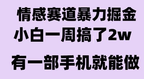 情感暴力掘金项目，新人操作一周挣了2W，长期稳定小白可做【揭秘】-58创客网